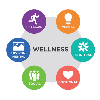 What Are The 3 Most Important Components Of Health Wellness?