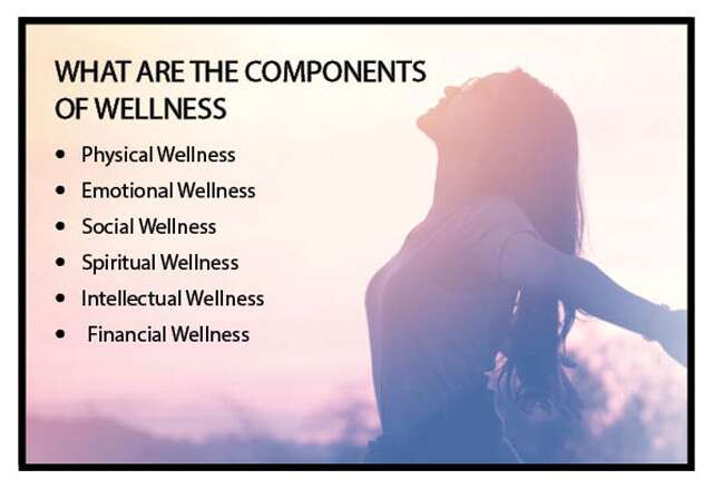 What Are The 3 Most Important Components Of Health Wellness?