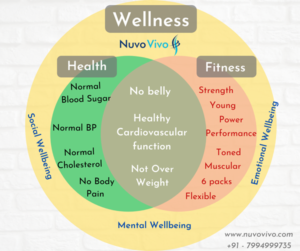 What Are The Basics Of Health And Wellness?