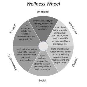 What Are The Basics Of Health And Wellness?