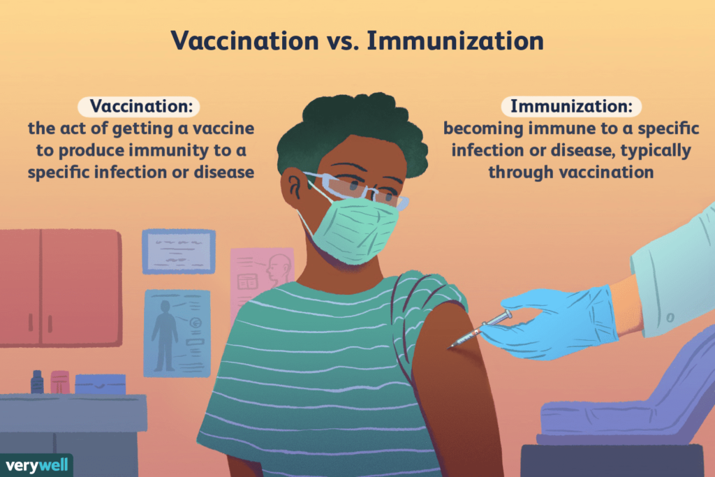 What Does Immunizations Up To Date Mean?