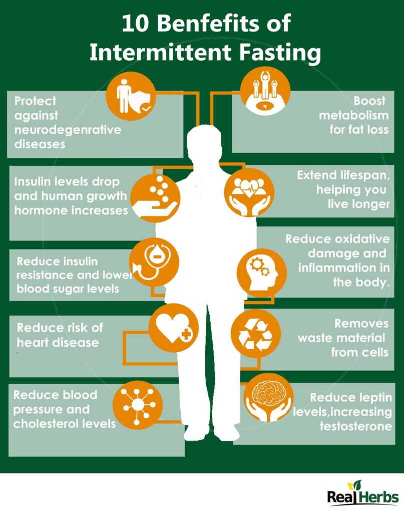 How intermittent fasting affects metabolism and fat burning