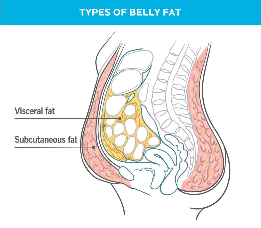 Secrets to Burning Belly Fat