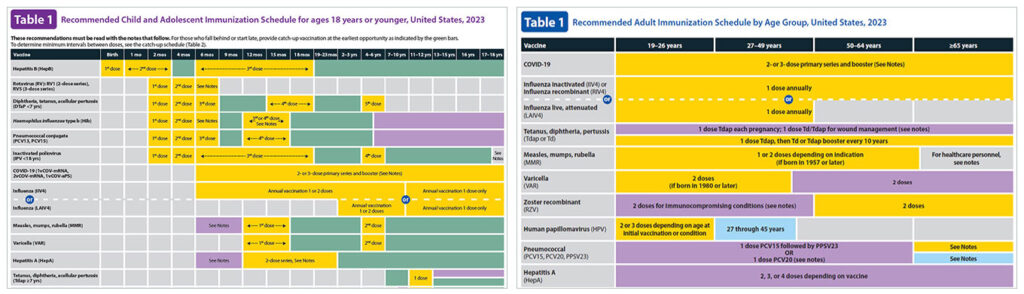 What Is The Immunization Program?