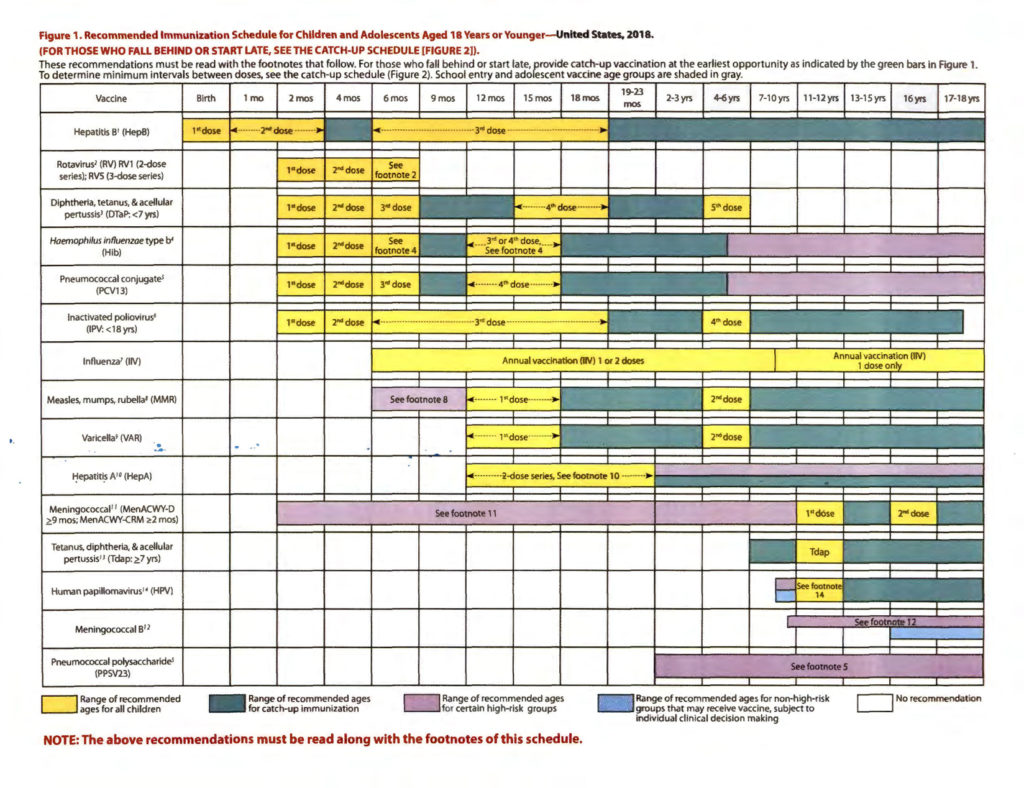 What Is The Immunization Program?